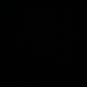 Meet your Posher, Lilly